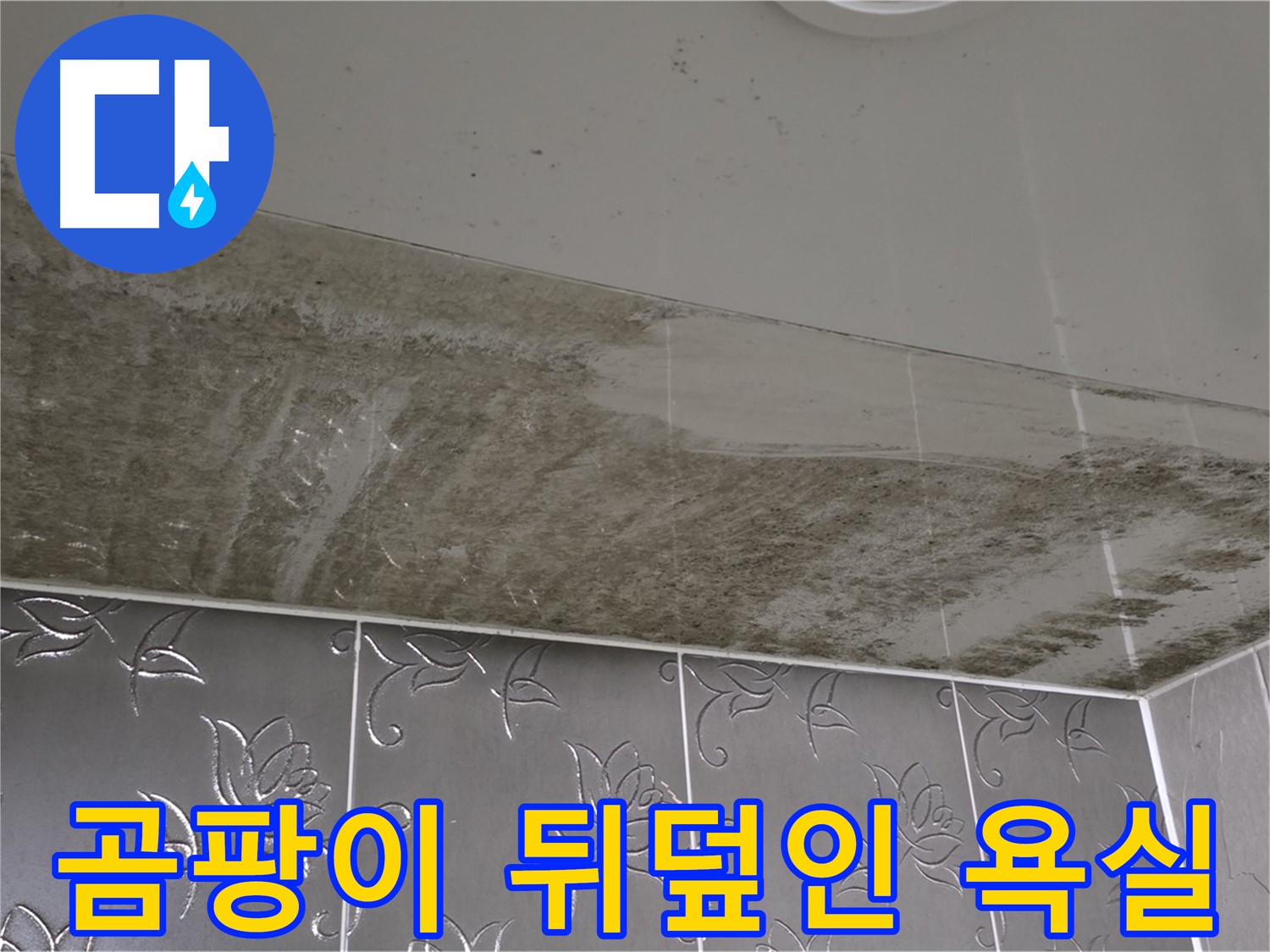 곰팡이로 뒤덮인 욕실 - 긴급 누수 해결이 시급한 상황