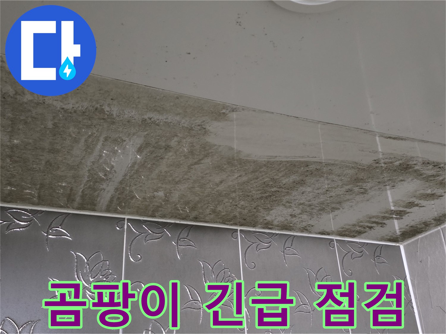 곰팡이로 뒤덮인 욕실 - 긴급 점검! 혹시 누수의 흔적?!