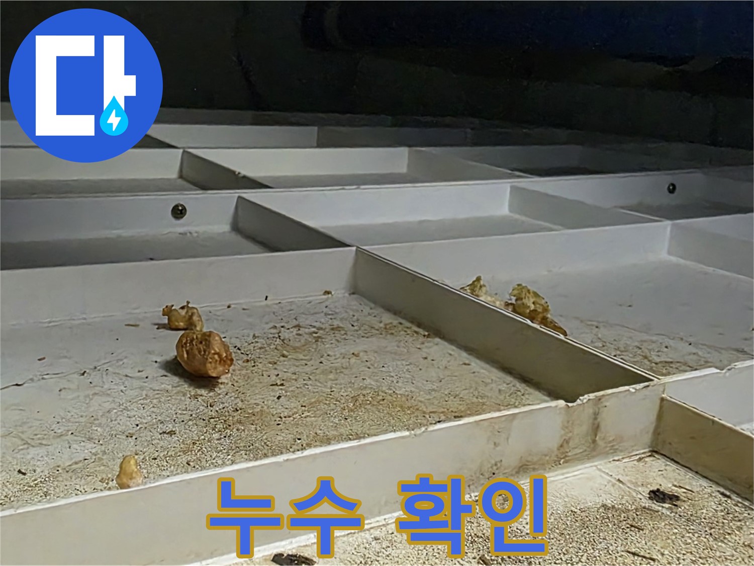 누수 확인 - 누수 여부 확인