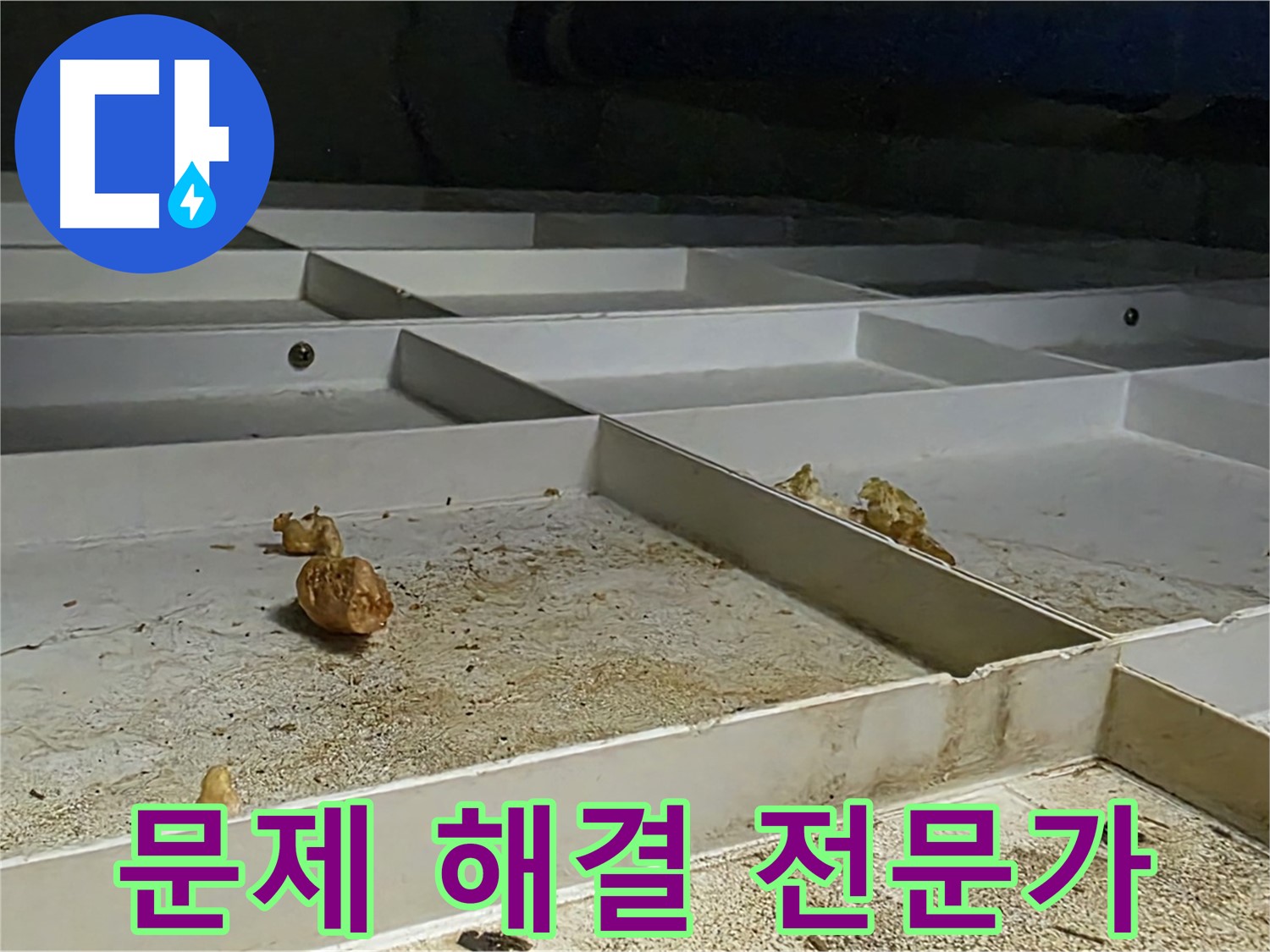 문제 해결 전문가 - 누수 문제 해결 과정