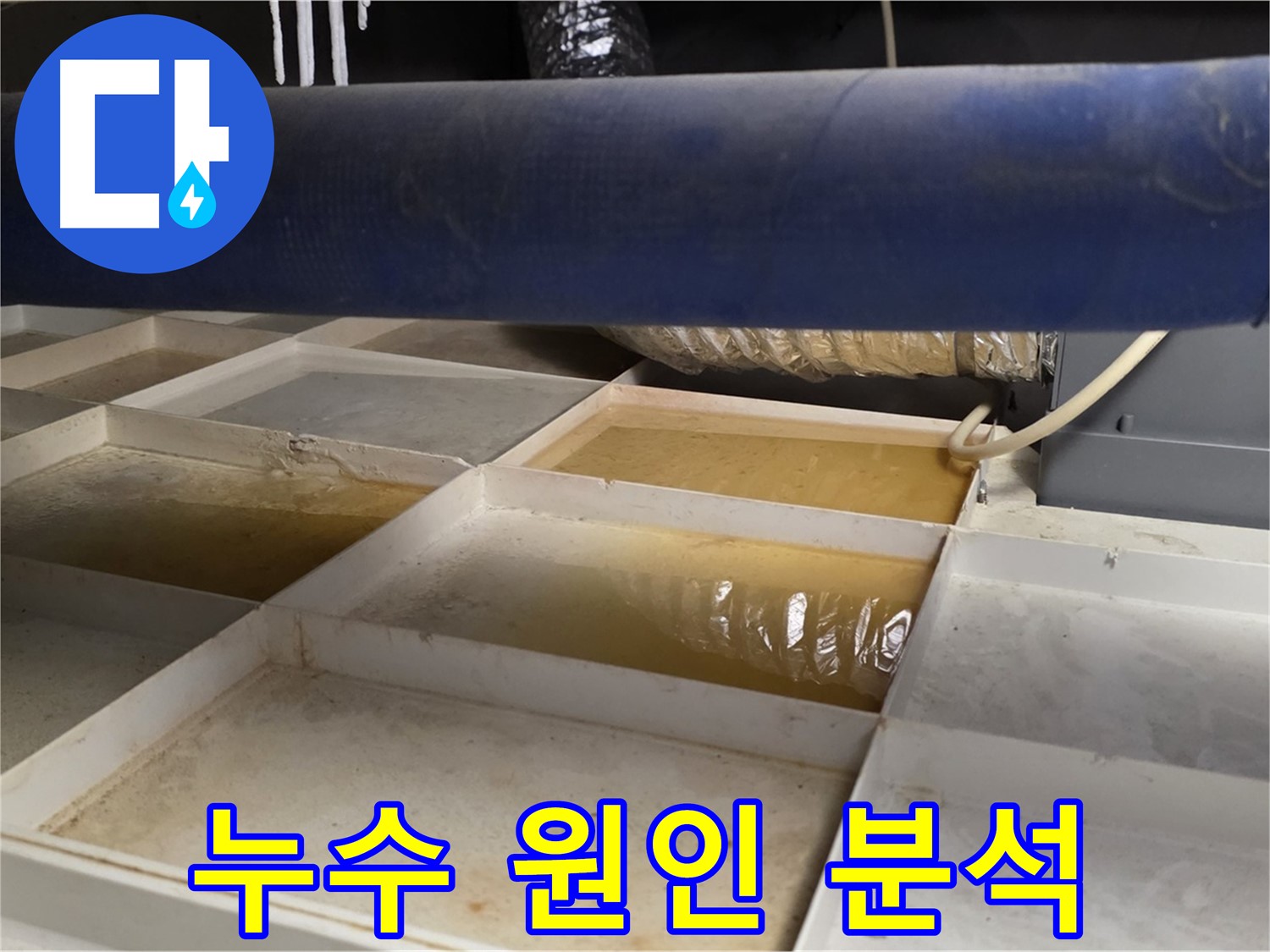 배관 누수 원인 분석 과정 - 전문 장비 사용 및 꼼꼼한 점검 진행