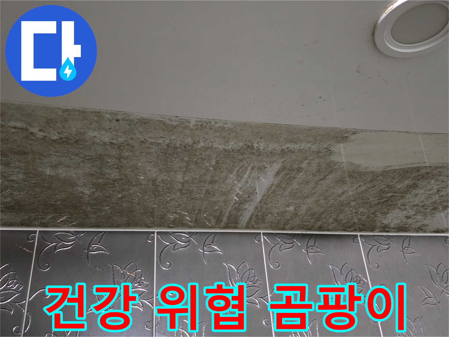 화장실 천장 곰팡이 - 건강을 위협하는 심각한 오염 상태