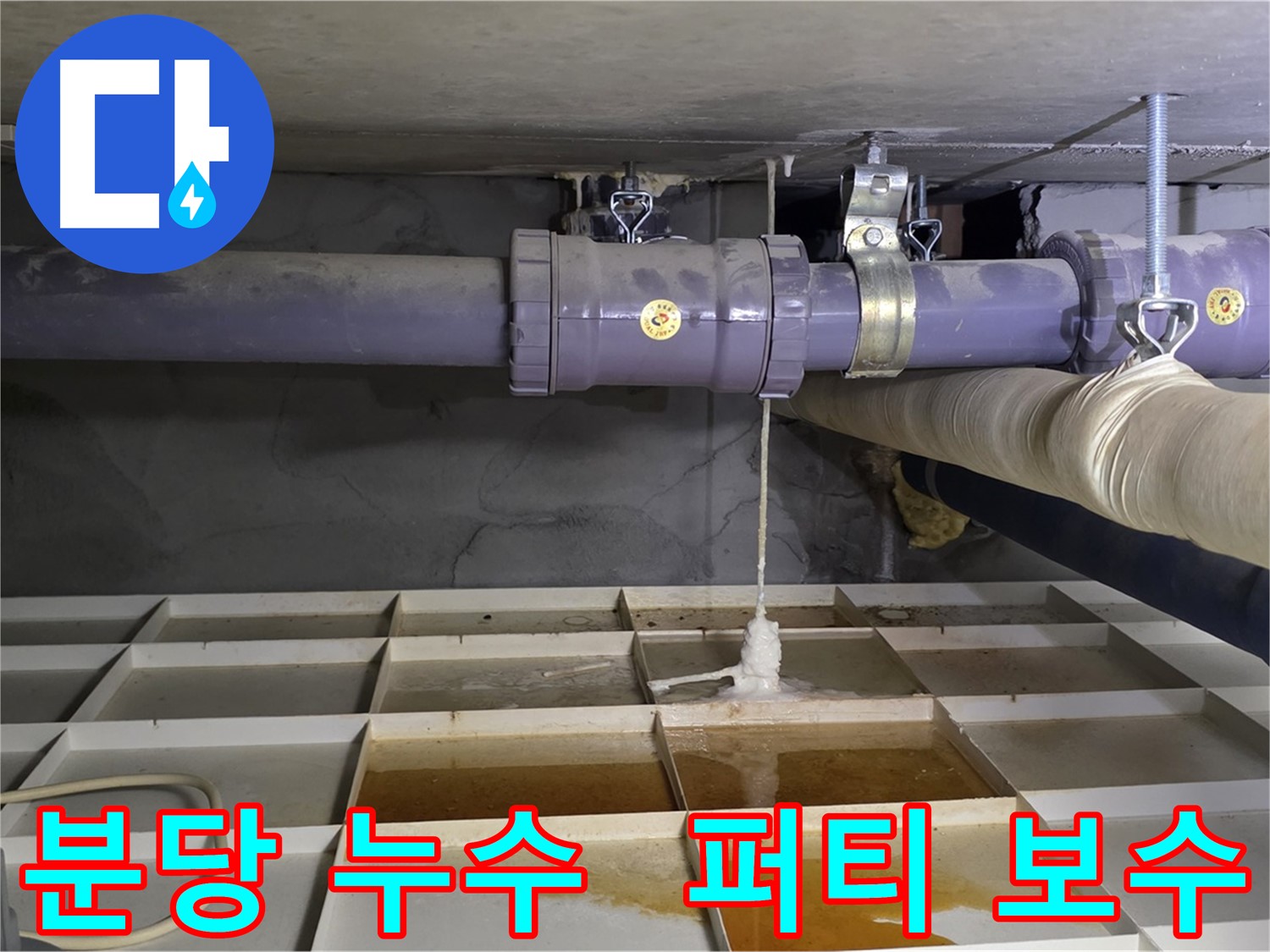 분당 산운마을 배관 누수 - 연결 부위 손상, 긴급 퍼티 보수로 응급처치