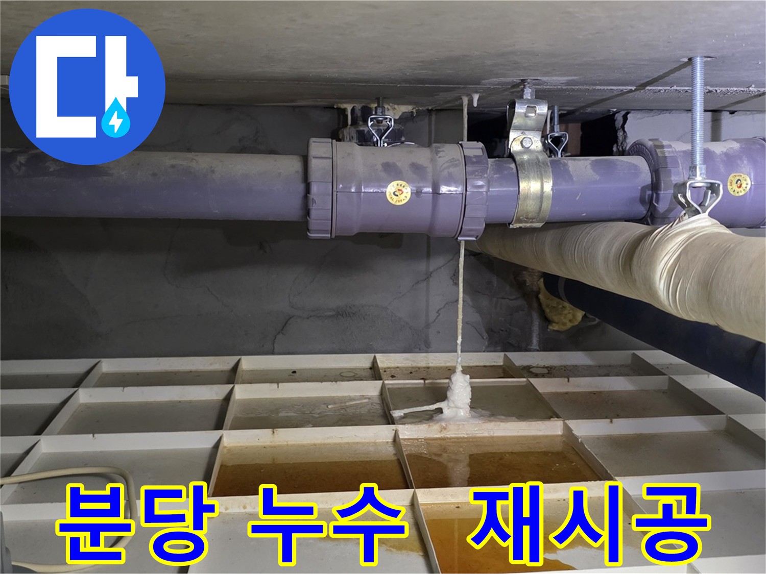 분당 수도 배관 누수 - 연결 불량, 꼼꼼한 재시공으로 완벽 해결