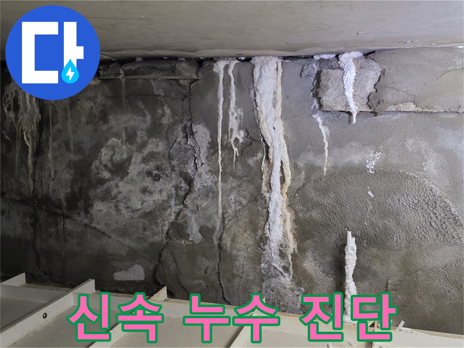 분당 운중동 건물 누수 - 신속한 진단, 빠른 해결!