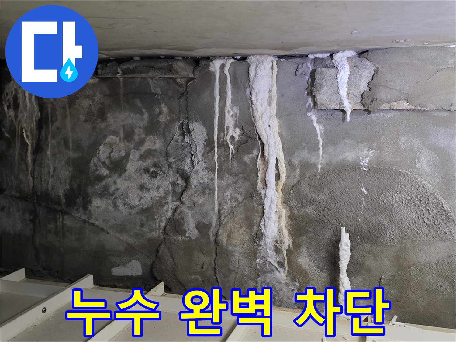 분당 운중동 건물 누수 - 완벽 차단 - 안심하세요!