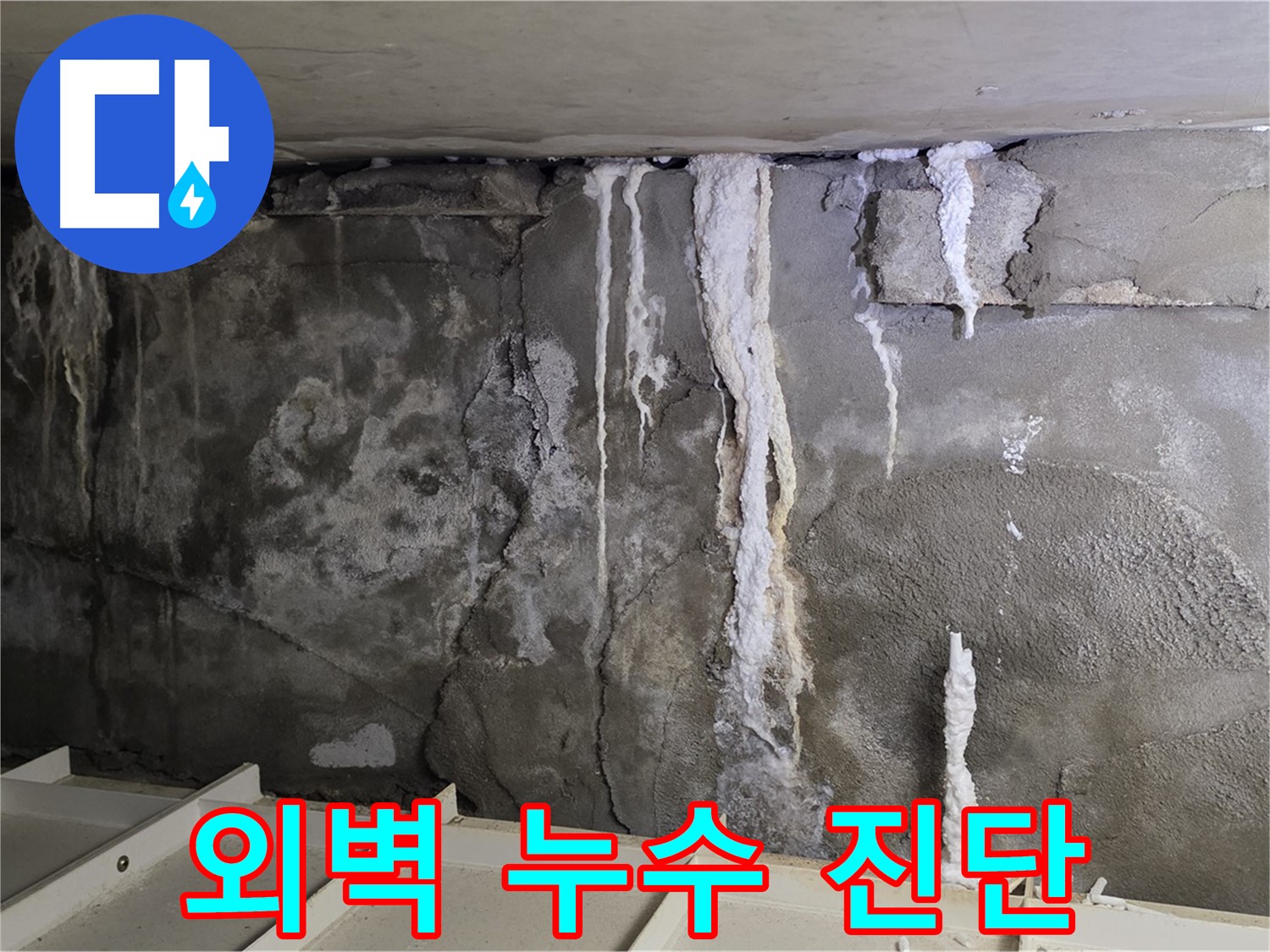 분당 운중동 건물 누수 - 외벽 누수 - 꼼꼼 진단 서비스