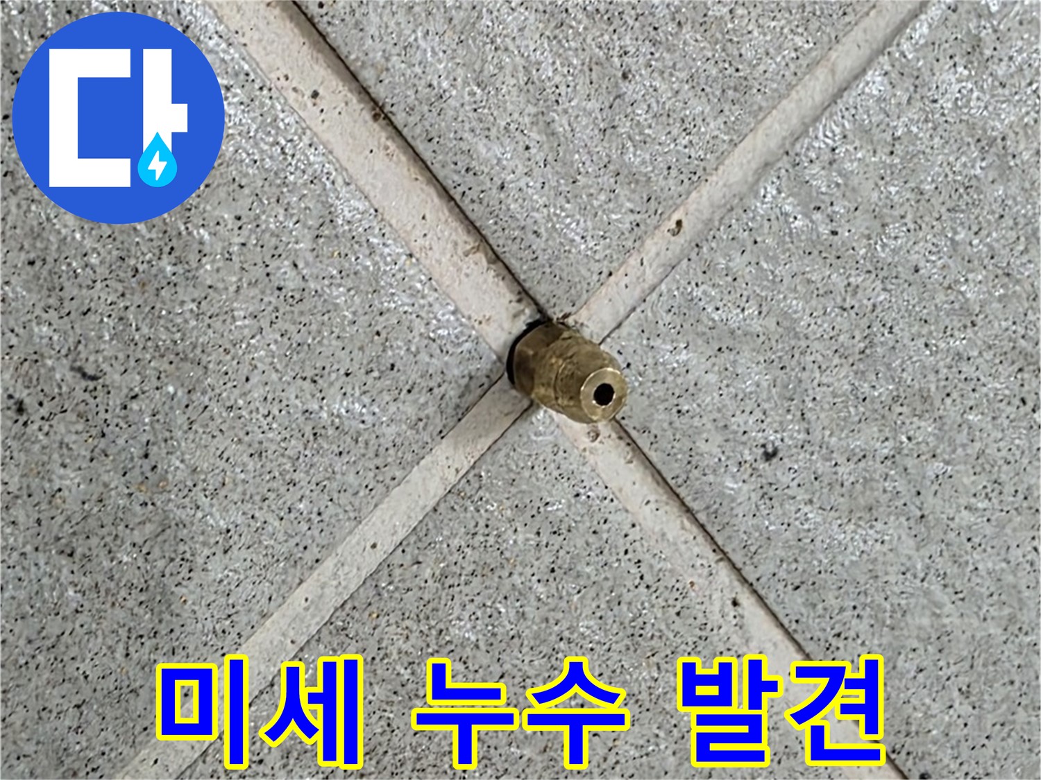 분당 운중동 산운로 누수 - 꼼꼼한 점검으로 배수구 주변 미세 누수 발견