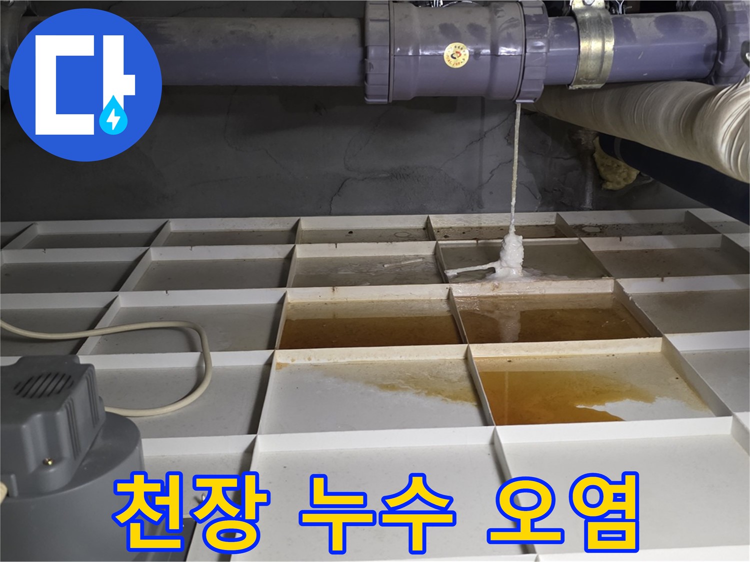 분당 운중동 산운마을 6단지 천장 누수로 인한 오염수 고임 현장 - 심각한 오염 상태를 보여줍니다.