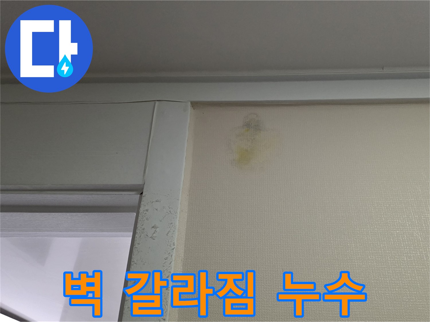 분당 운중동 산운마을 아파트 벽 갈라짐 - 누수 가능성 확인 및 정밀 진단