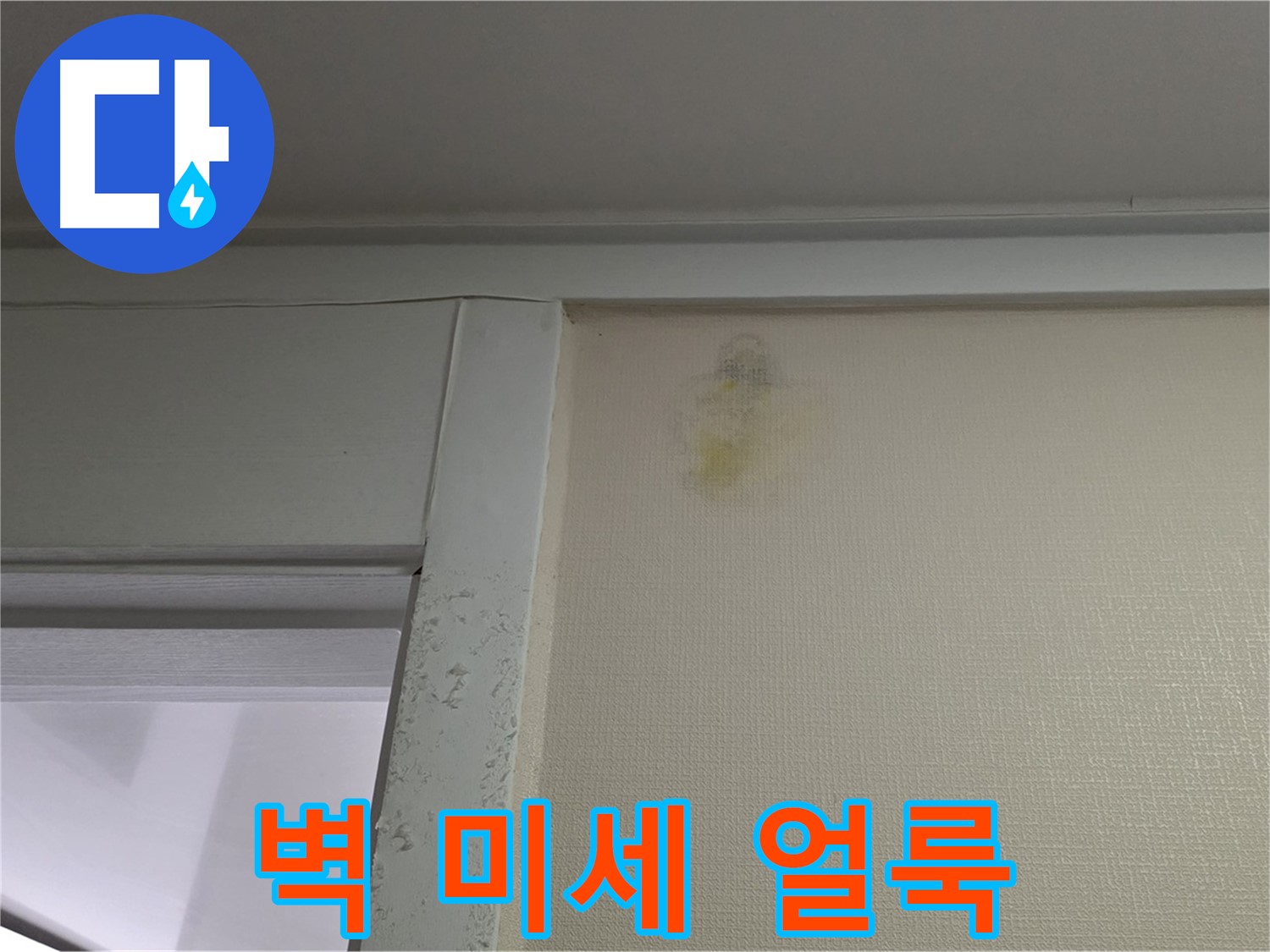 분당 운중동 산운마을 아파트 벽 미세 얼룩 - 누수 초기 진단 및 꼼꼼한 점검 진행