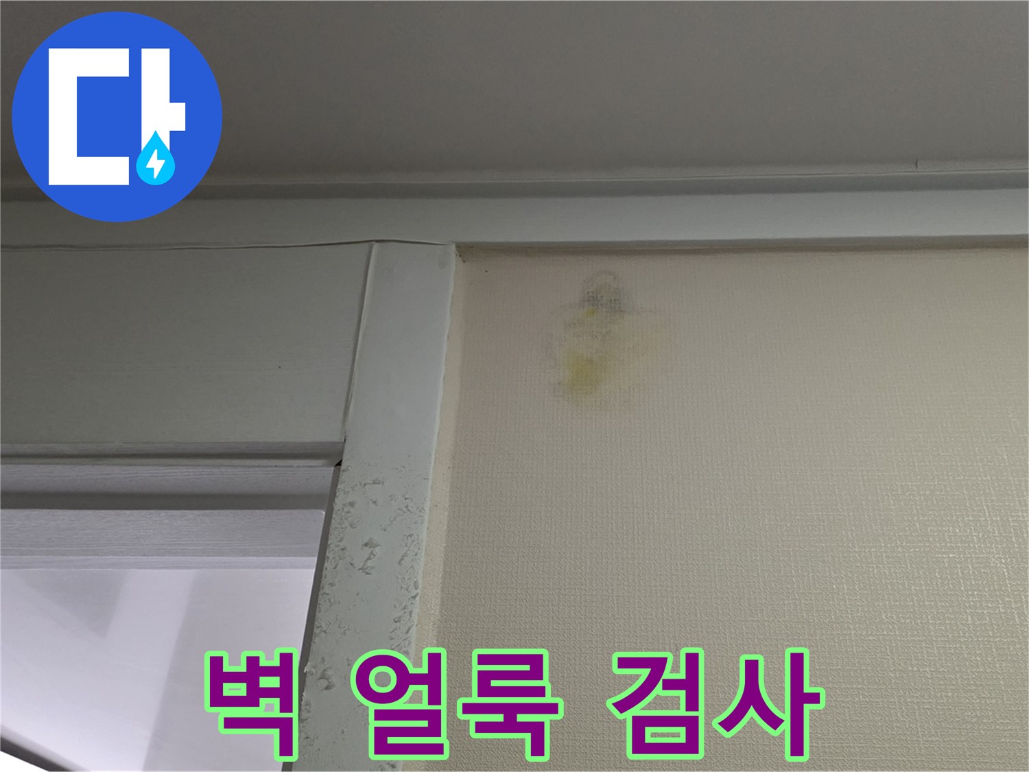 분당 운중동 산운마을 아파트 - 벽 얼룩 초기 누수 의심, 내시경 검사