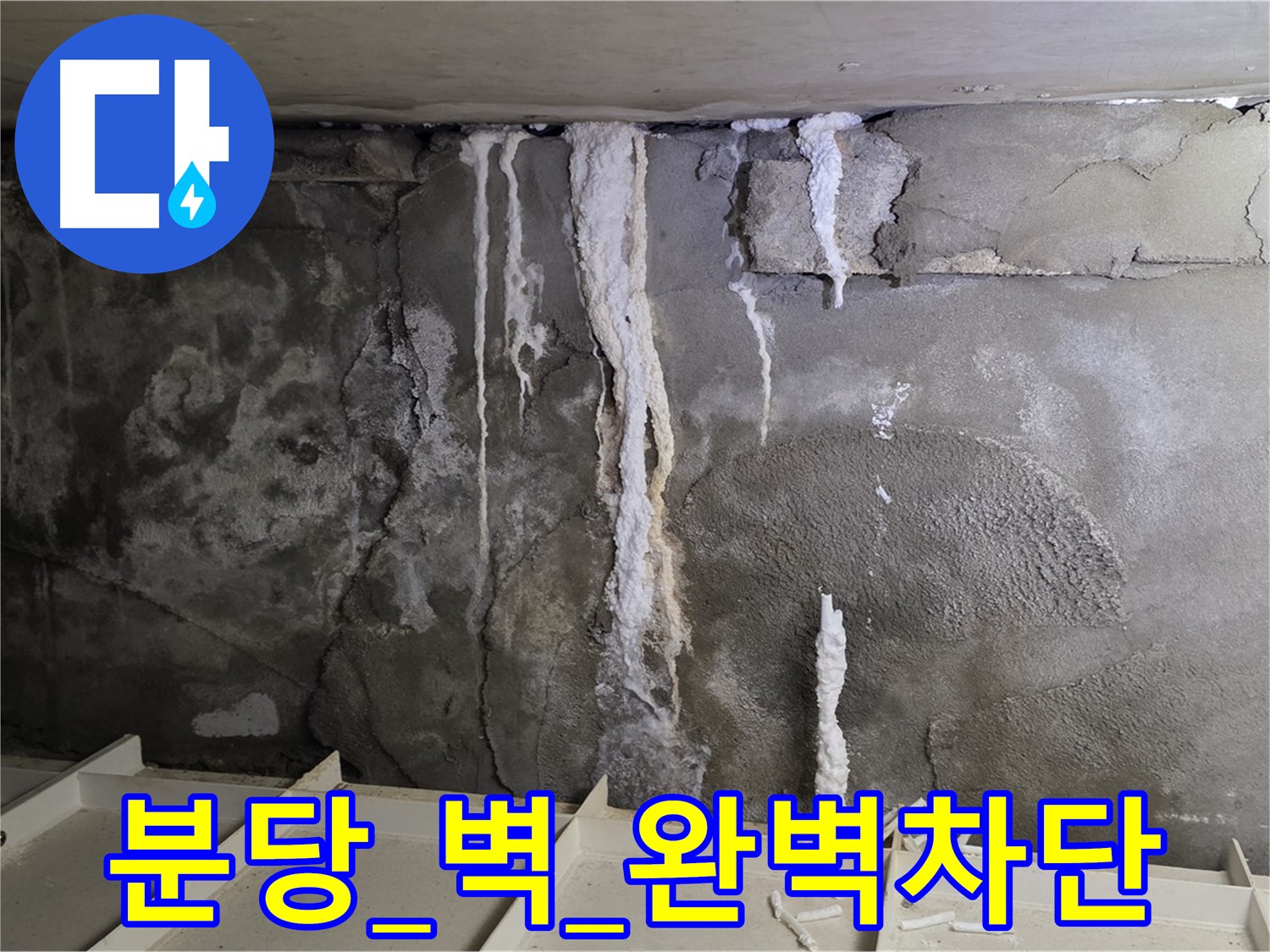 분당 콘크리트 벽 - 석회수 흔적, 숨은 누수, 완벽 차단