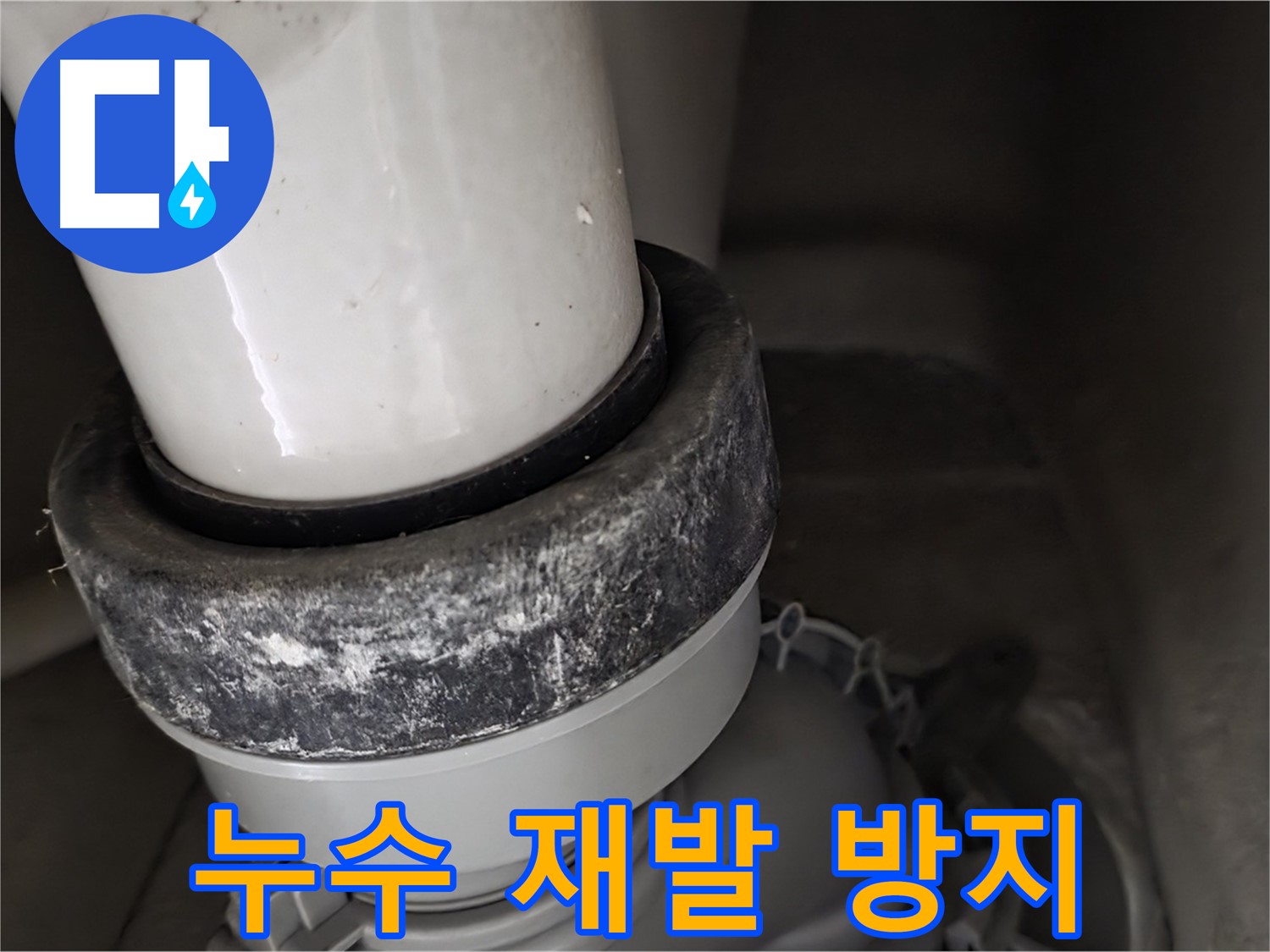 분당구 운중동 산운마을 6단지 변기 누수 - 누수 재발 방지를 위한 꼼꼼한 시공