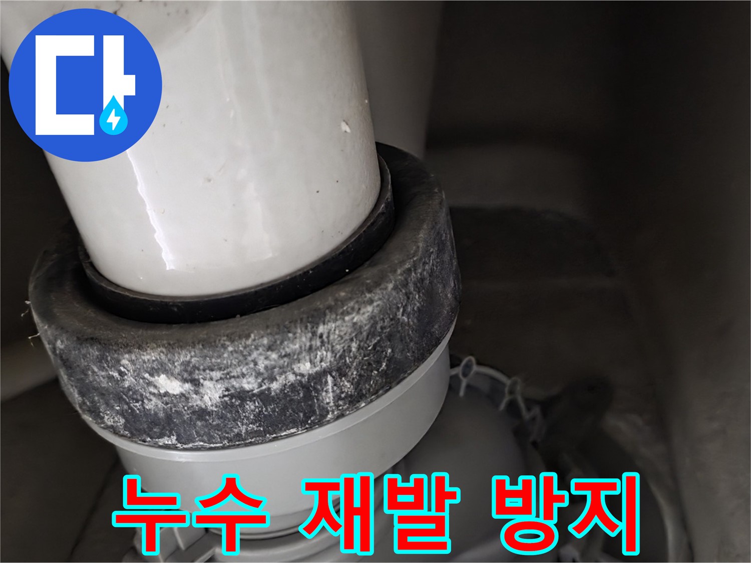 분당구 운중동 산운마을 6단지 변기 누수 - 누수 재발 방지를 위한 꼼꼼한 시공