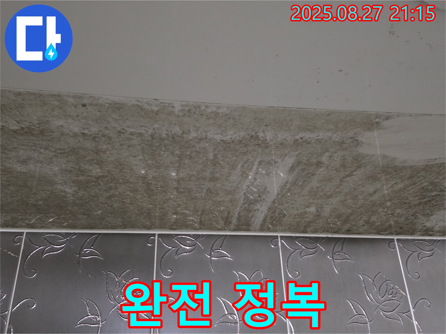 산운마을 6단지 곰팡이 - 곰팡이 완전 정복!