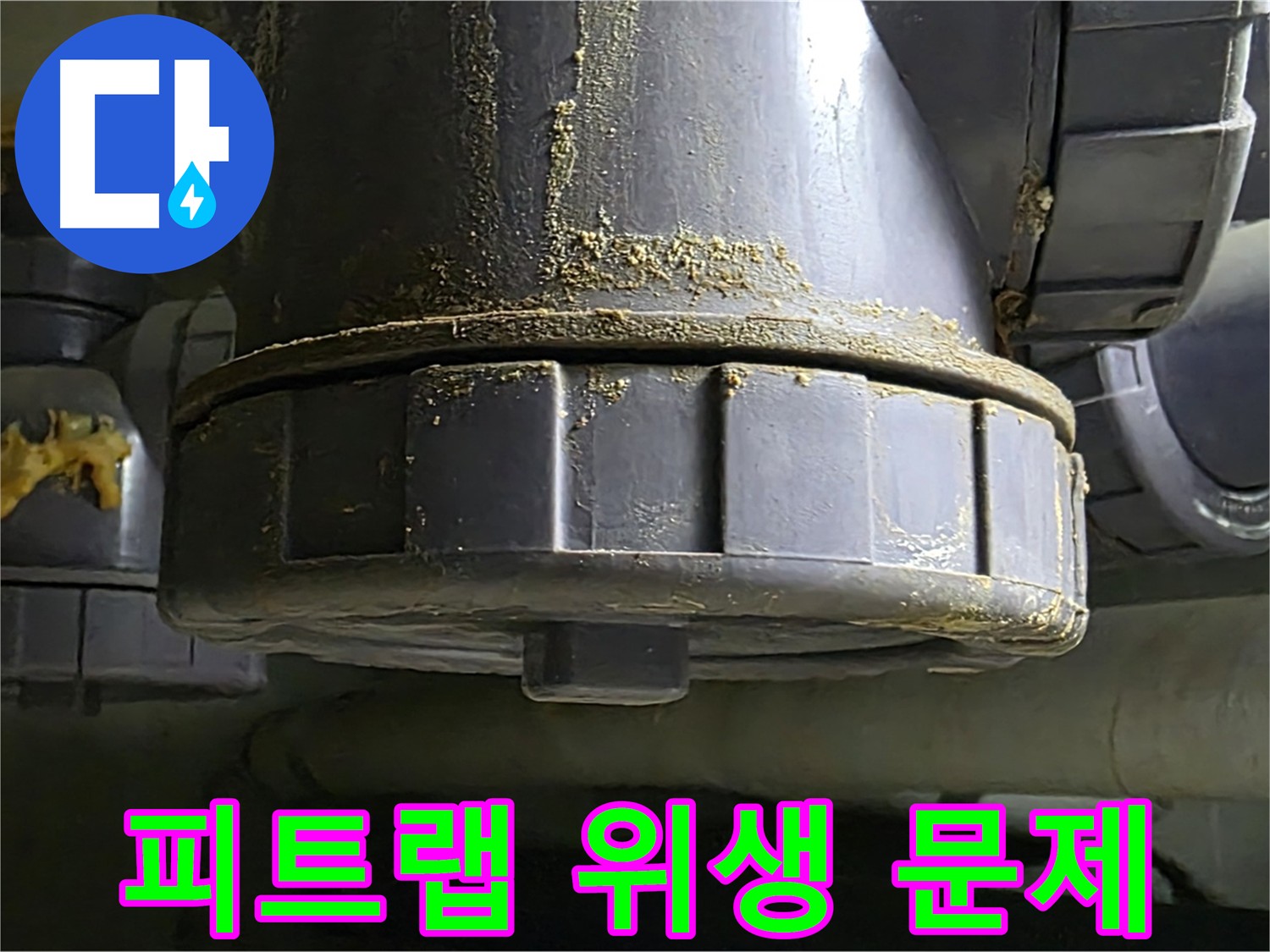 분당 피트랩 누수 - 위생 문제 해결 및 쾌적한 환경 유지