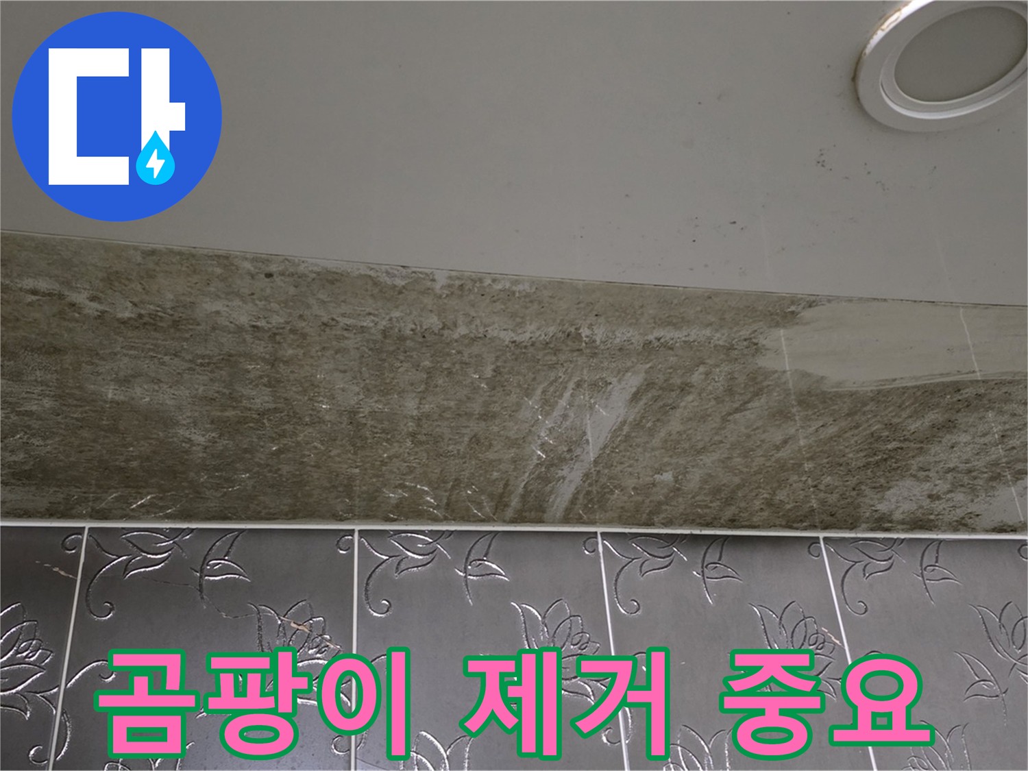 화장실 천장 누수와 곰팡이 - 근본적인 원인 해결이 중요