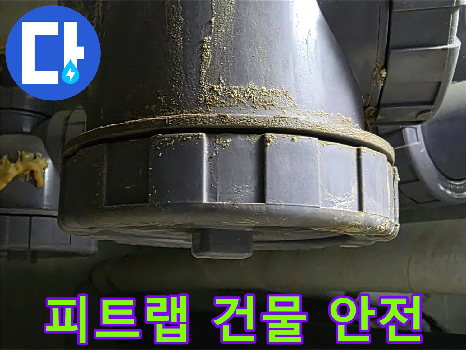 운중동 피트랩 누수 - 건물 안전 점검 및 누수 진단 필요