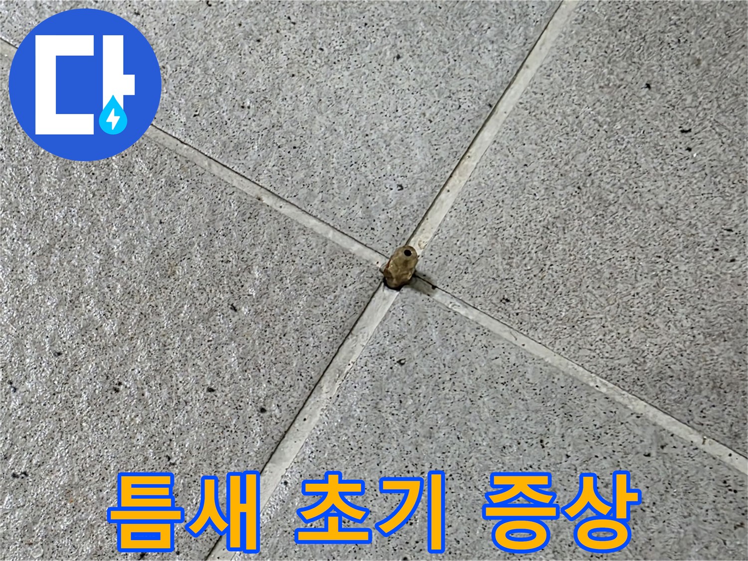 성남 분당 산운로 아파트 - 타일 틈새 누수, 초기 증상부터 잡아야 합니다.