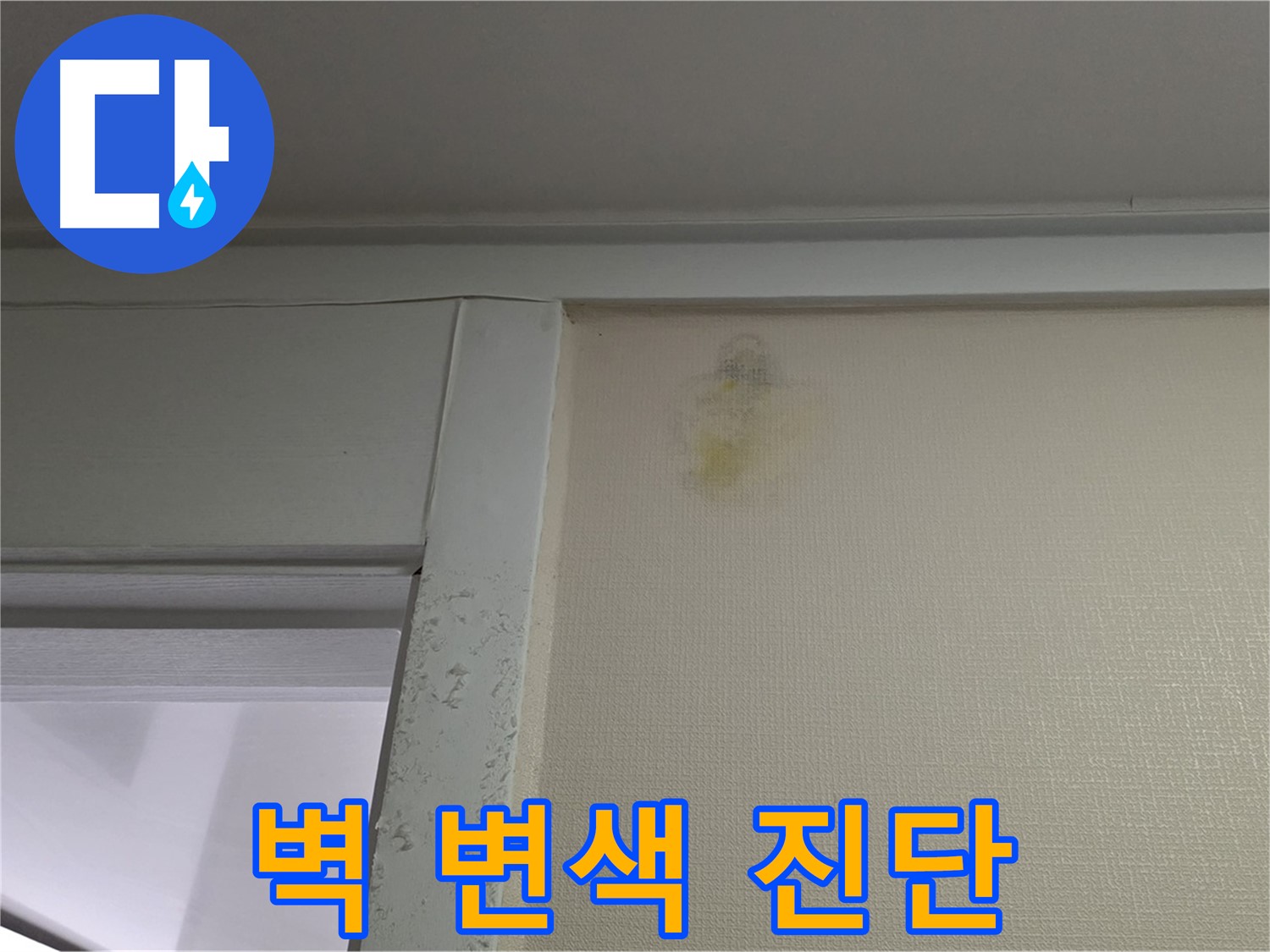 성남 분당 운중동 산운마을 아파트 벽 변색 - 누수 초기 의심 및 정밀 진단 진행
