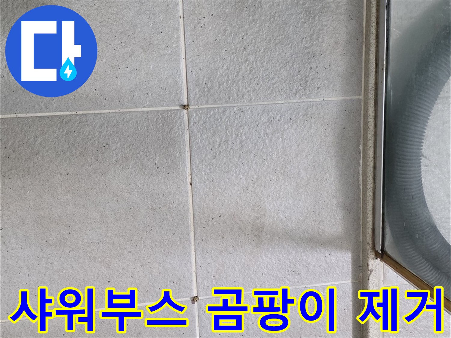 성남 분당 운중동 욕실 샤워부스 - 타일 틈새 곰팡이 제거로 쾌적한 환경을 만듭니다.