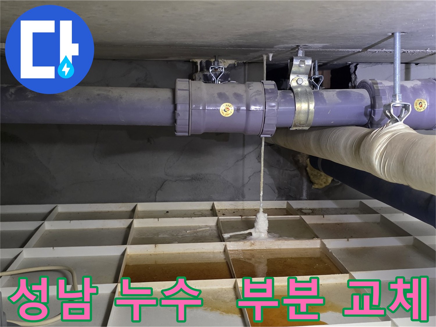 성남 산운마을 6단지 배관 누수 - 연결 부위 파손, 빠른 부분 교체