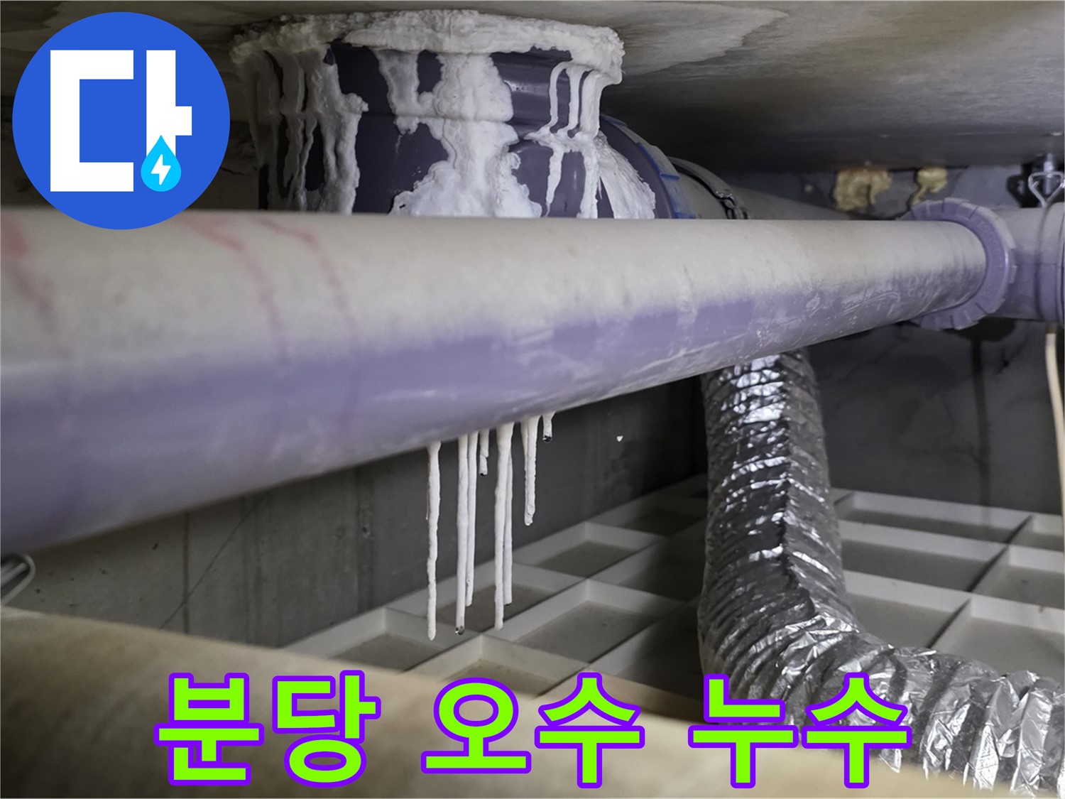 오수 배관 누수 - 깨진 방수층과 석회 고드름