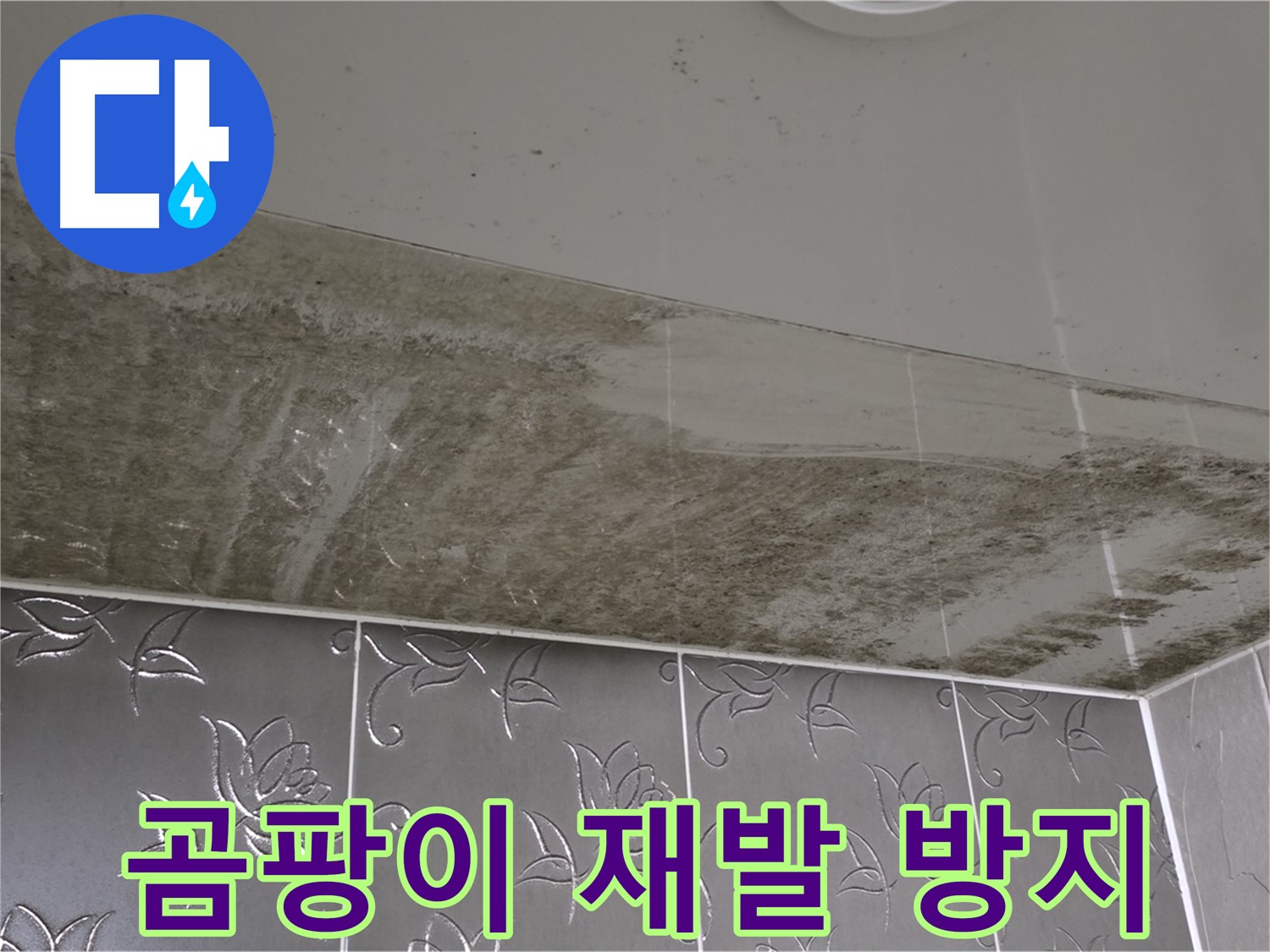 욕실 누수와 곰팡이 - 재발 방지를 위한 완벽한 시공 과정