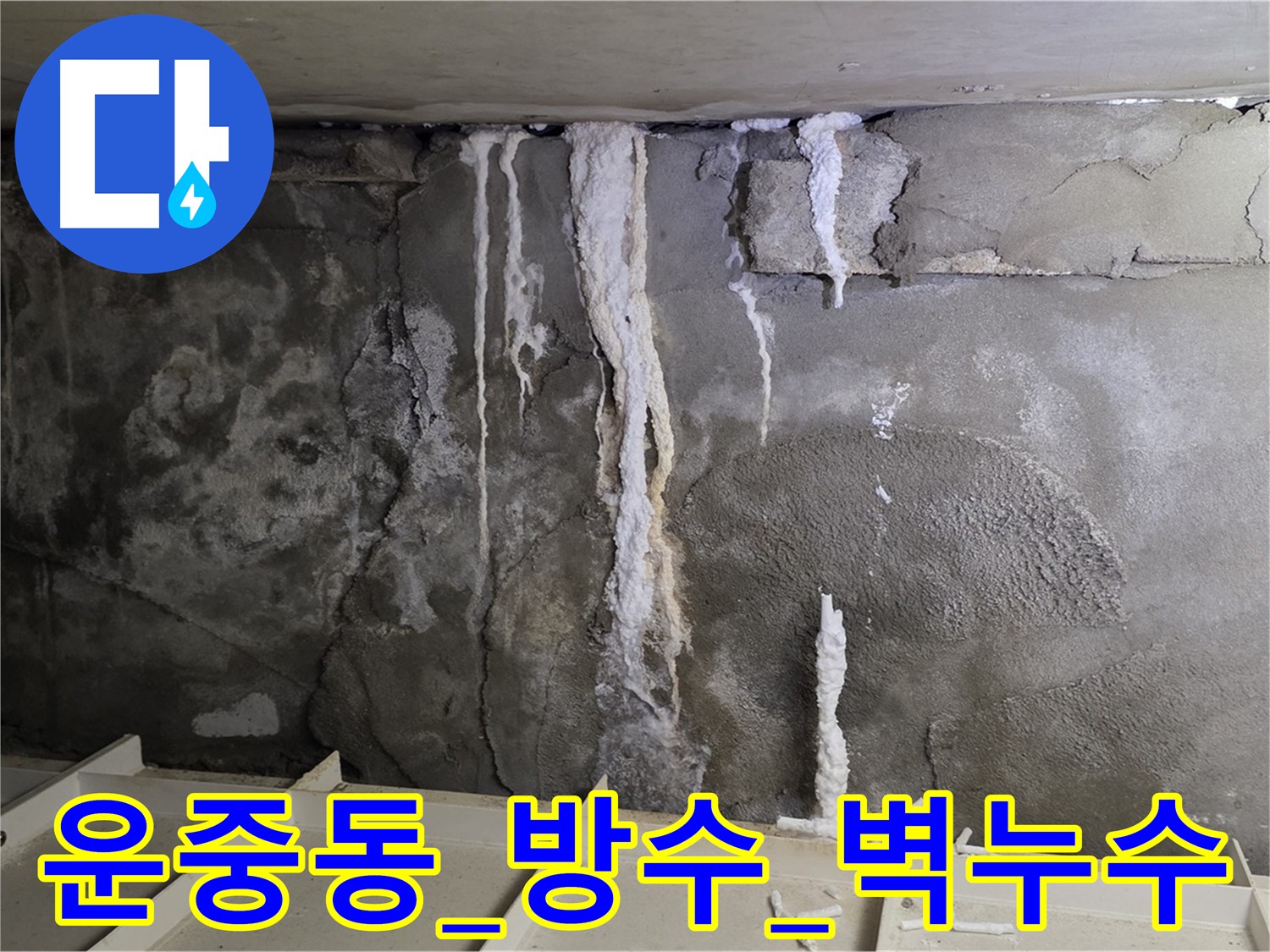 운중동 화장실 누수 - 방수층 균열로 인한 벽 누수