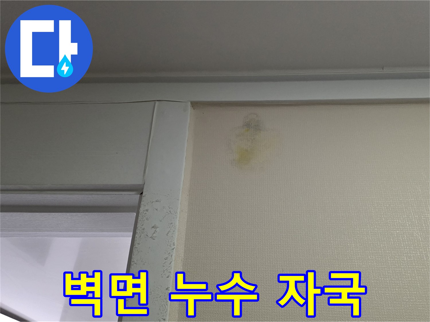 운중동 산운마을 6단지 아파트 벽면 누수 자국 - 전문적인 누수 탐지 및 해결 과정