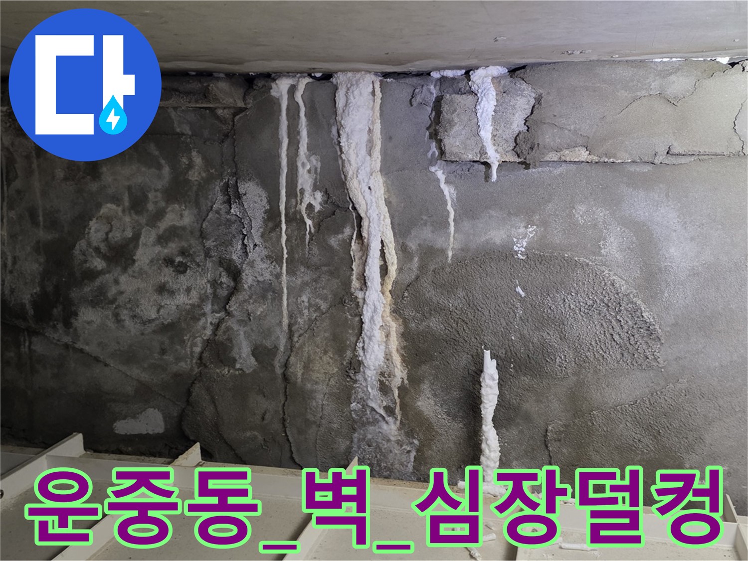 운중동 콘크리트 벽 - 석회수 뚝뚝, 철근 휘어질까 심장 덜컹