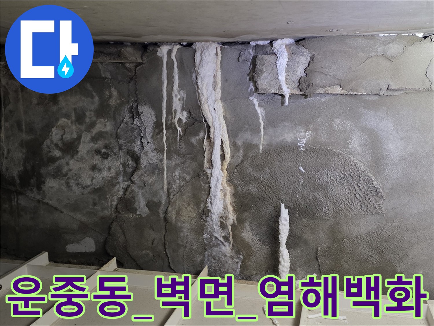 운중동 콘크리트 벽면 - 염해, 백화로 철근 부식 우려