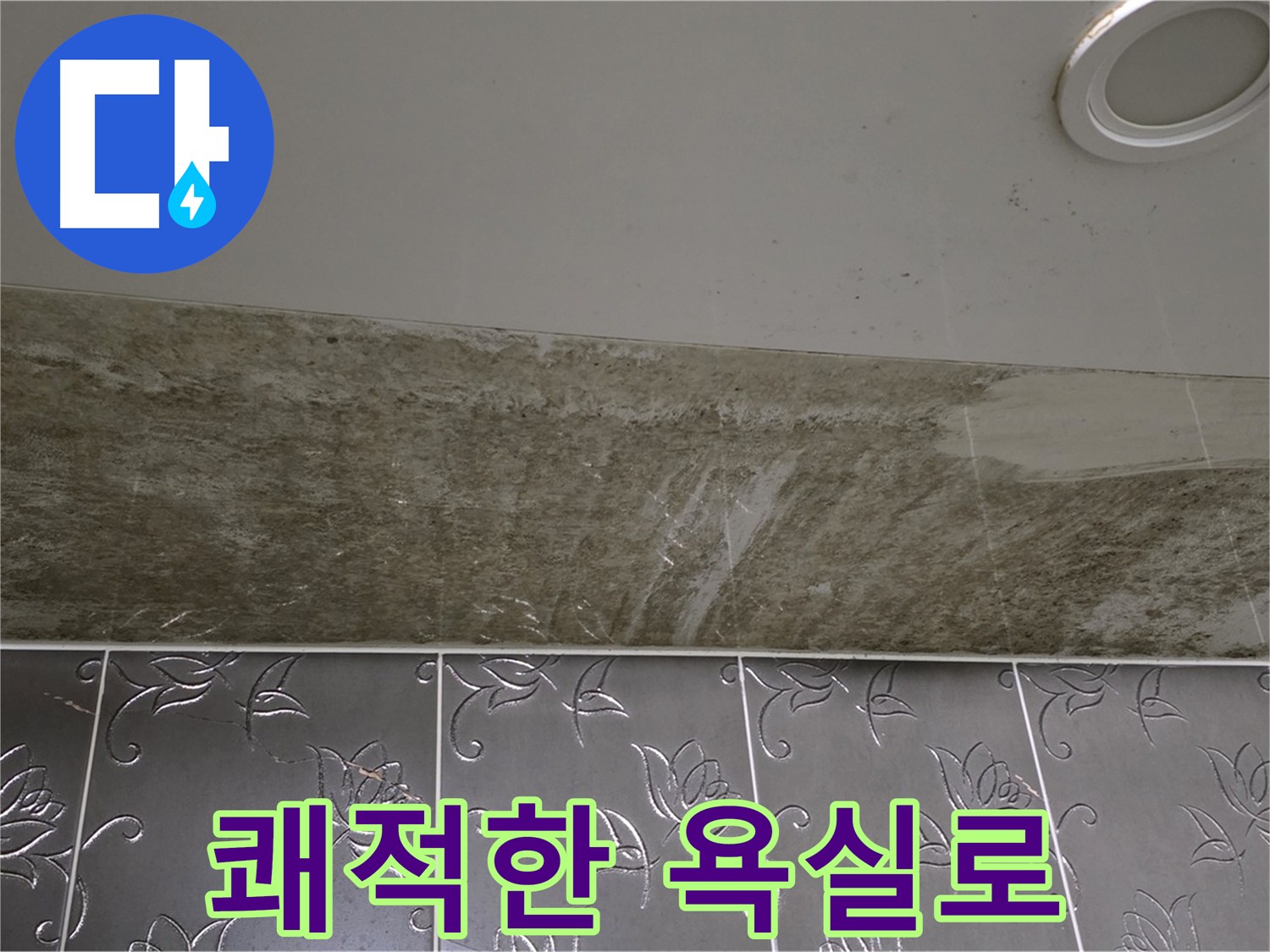 화장실 천장 누수 - 곰팡이 걱정 없는 쾌적한 욕실