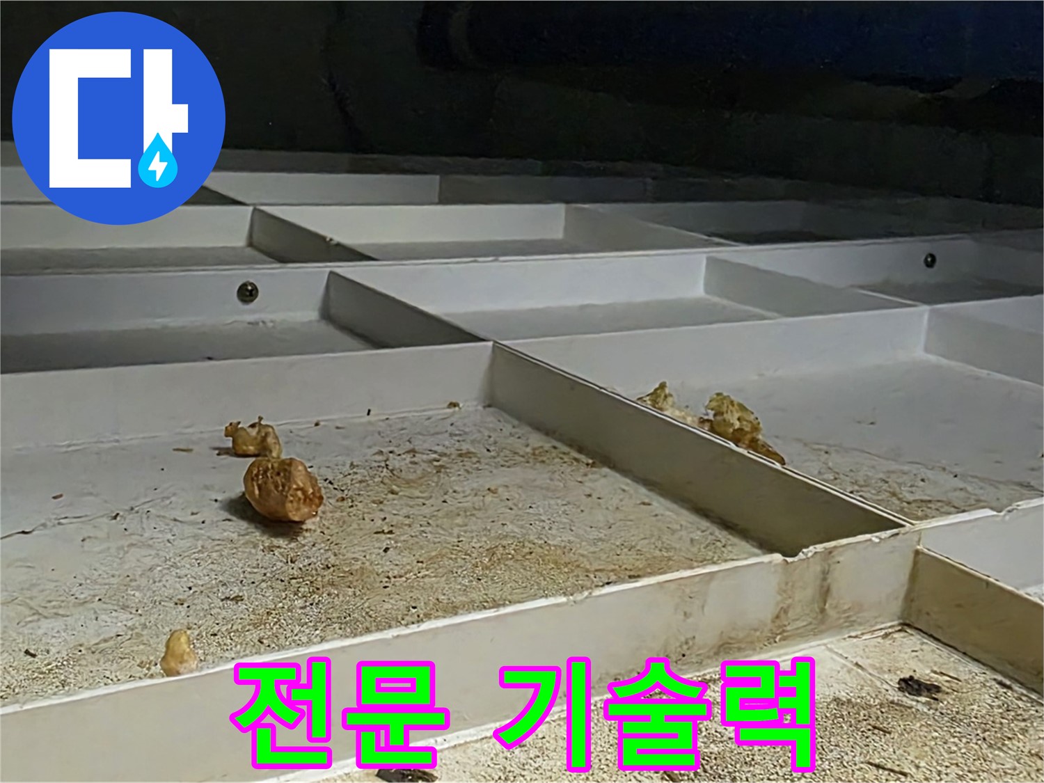 전문 기술력 - 누수 해결 전문 기술력 보유