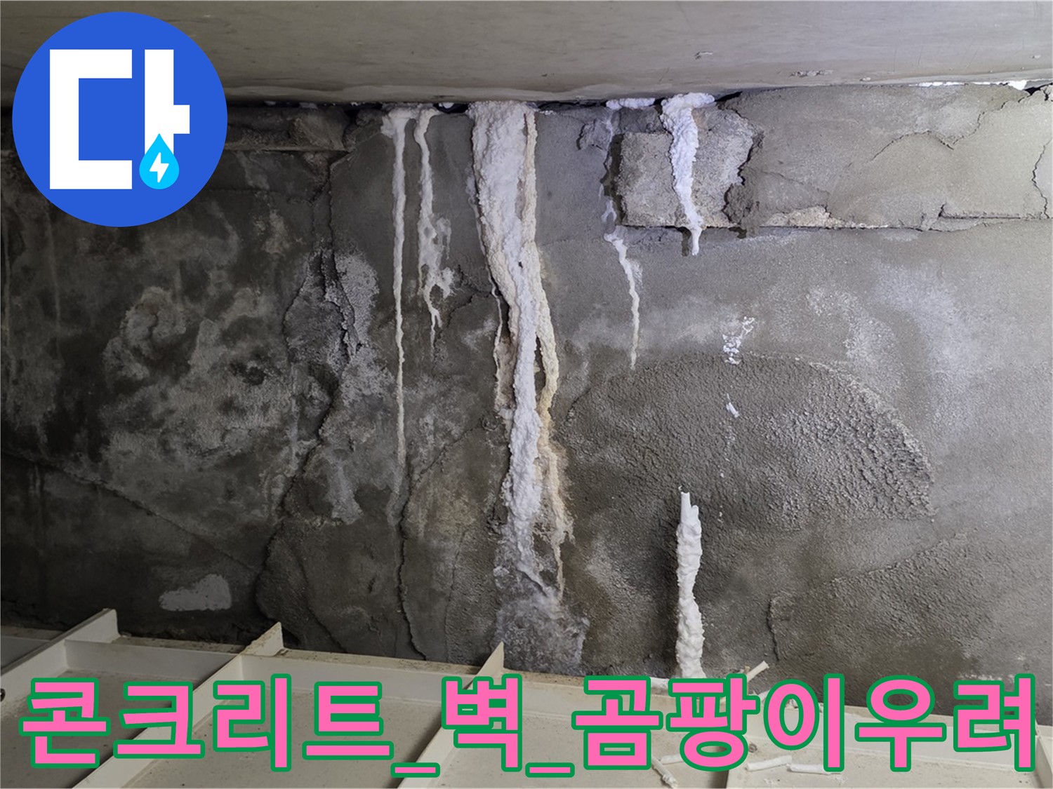 콘크리트 벽 - 석회수 범벅, 건물 눅눅, 곰팡이 번식 우려
