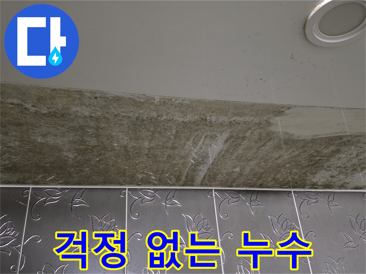 화장실 천장 누수 - 곰팡이와 함께 걱정 해결