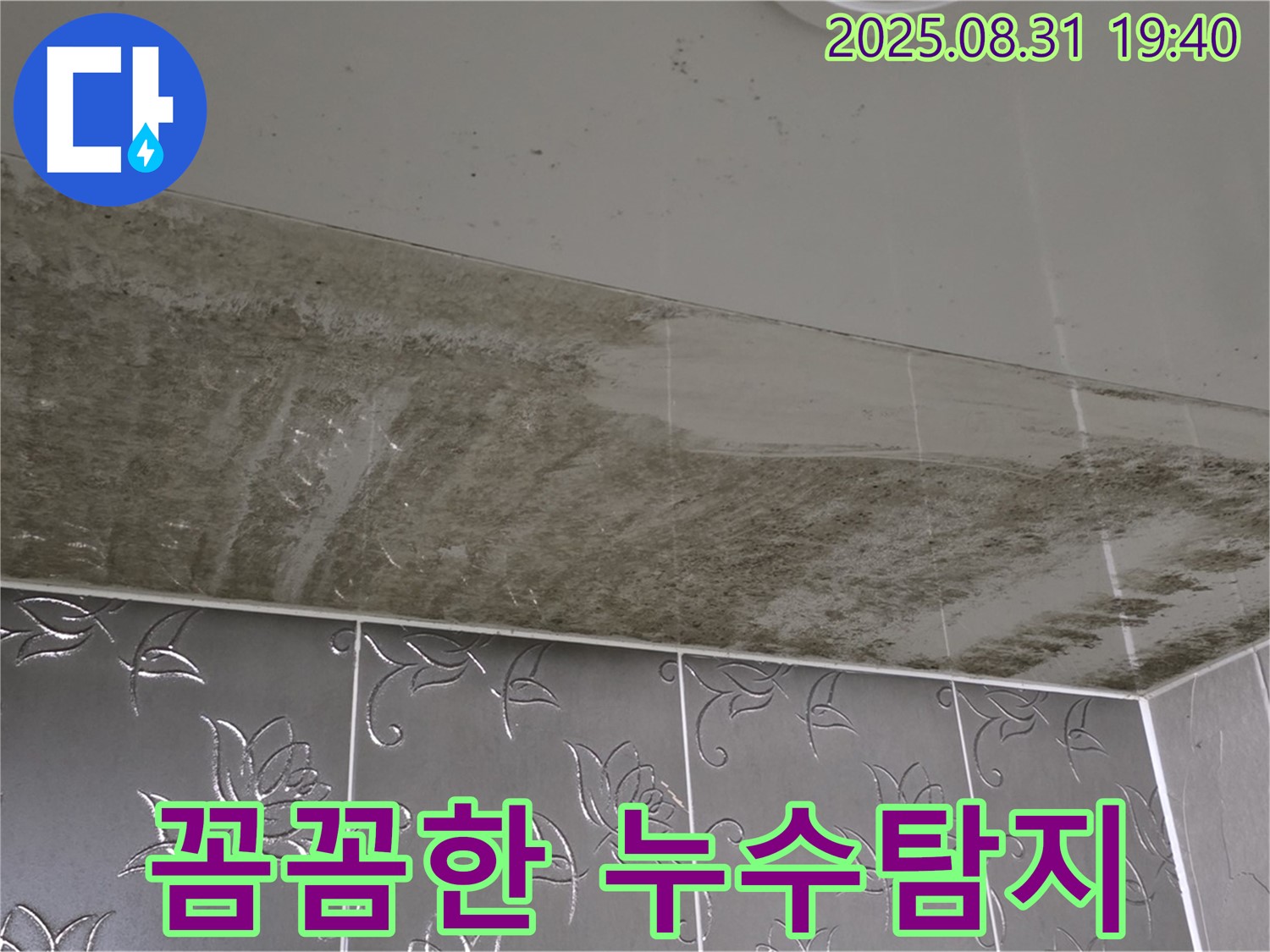꼼꼼한 누수탐지 - 숙련된 기술과 첨단 장비로 정확한 원인 분석