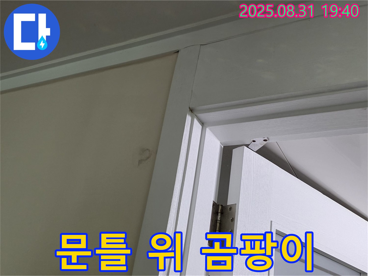 문틀 위 곰팡이 - 문틀 위 천장에 곰팡이가 발생했습니다.