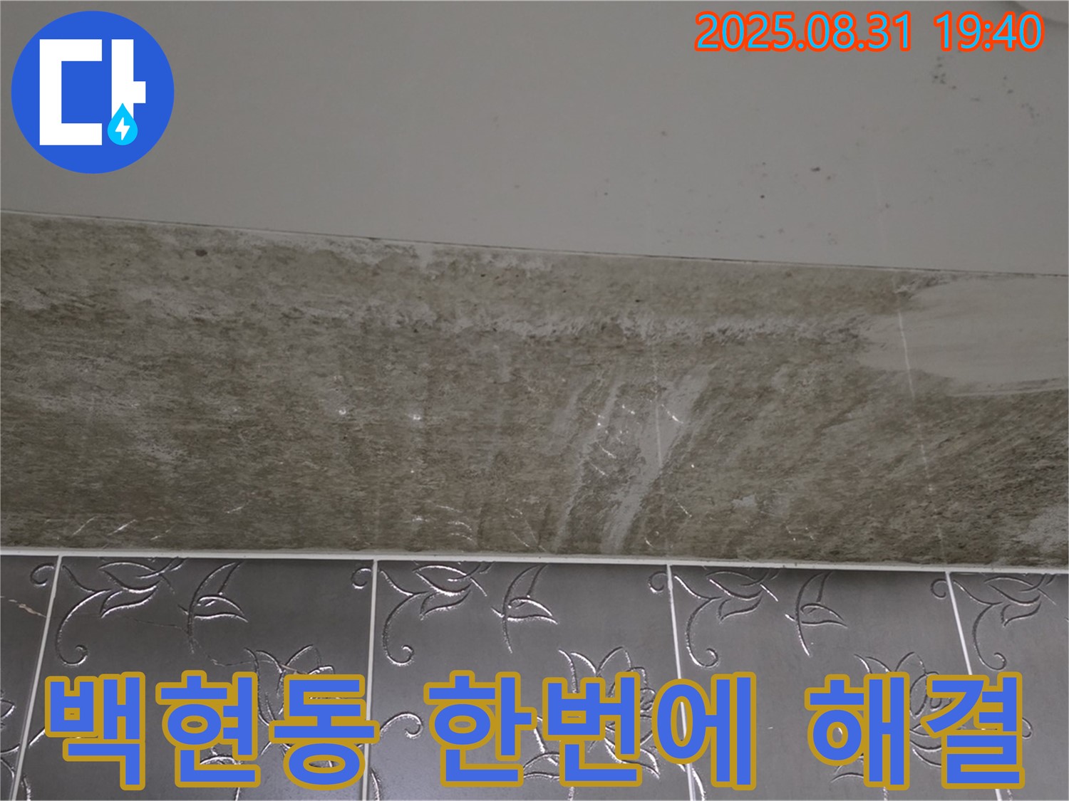 백현동 욕실 곰팡이 - 원인 해결부터 재발 방지까지 한 번에 해결!