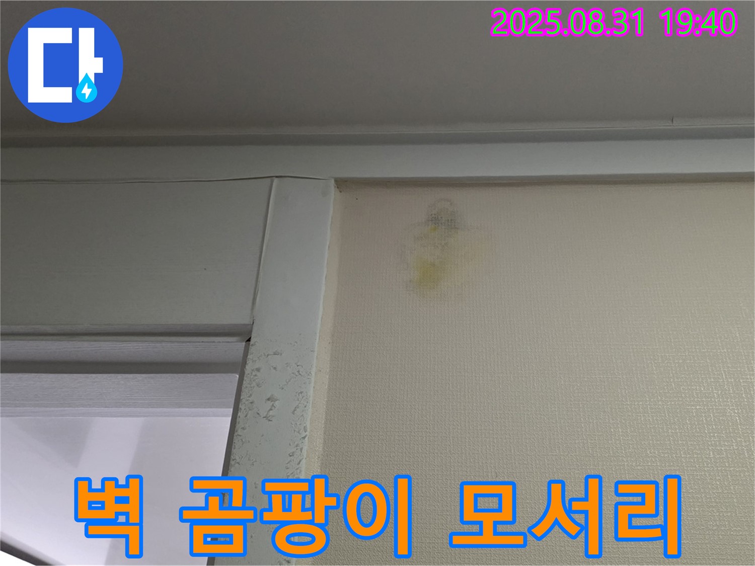 벽 곰팡이 모서리 확인 - 성남 분당 산운동 누수탐지