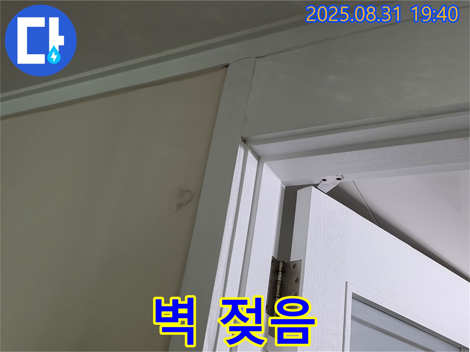 벽 젖음 - 벽이 젖어 누수가 의심됩니다.