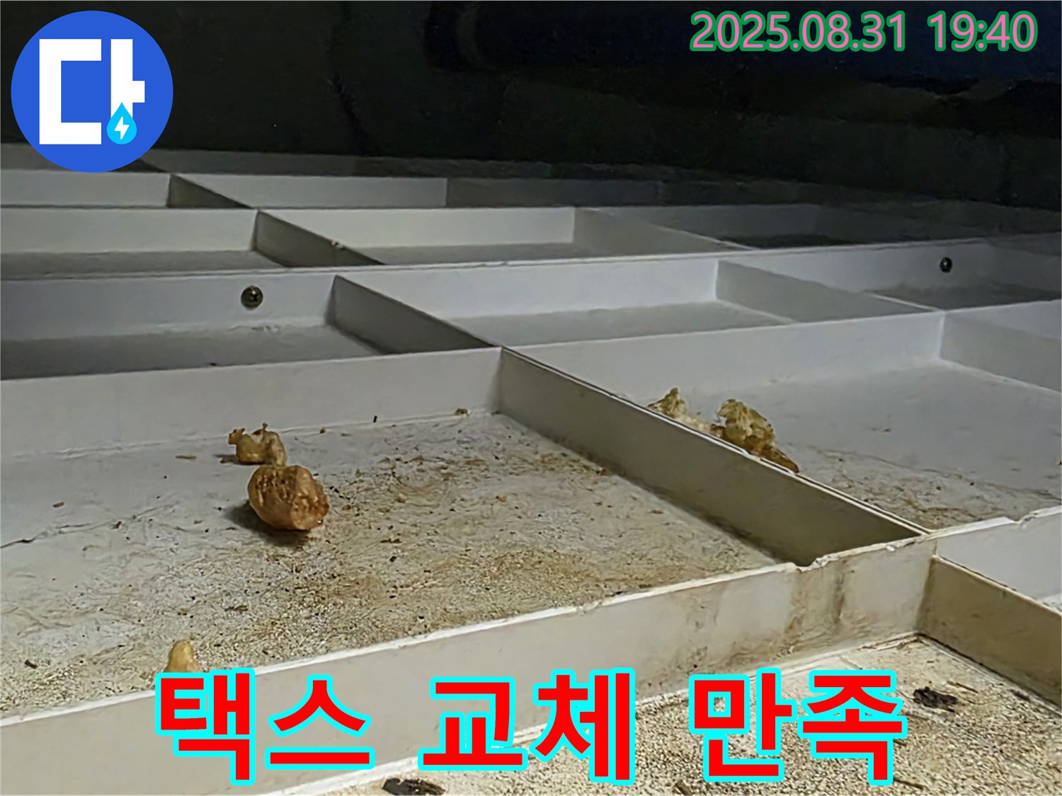 분당 구미동 누수 - 천장 택스 교체 후 고객 만족 최우선