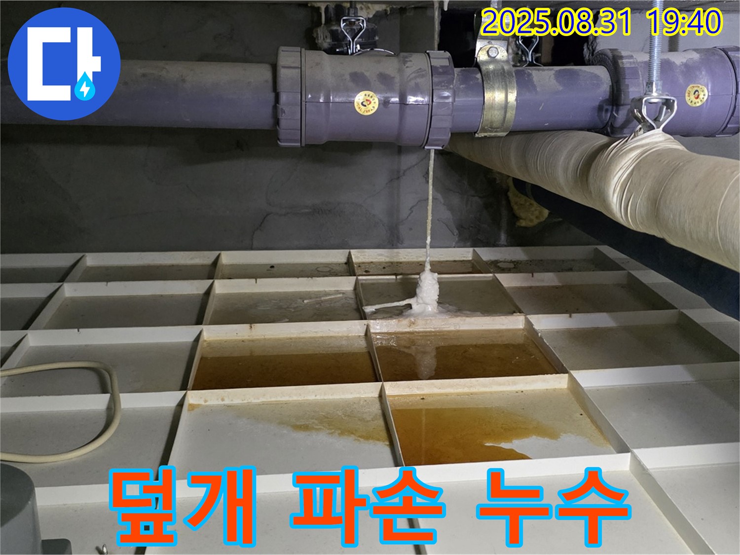 분당 산운로 누수 - 물탱크 덮개 파손으로 인한 누수 발생 - 덮개 교체가 필요합니다.