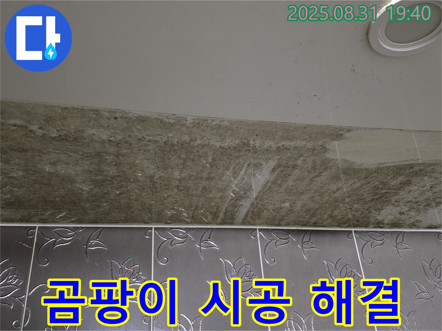 분당 운중동 곰팡이 심한 욕실 천장 누수 - 원인 해결부터 완벽한 시공까지 책임집니다.
