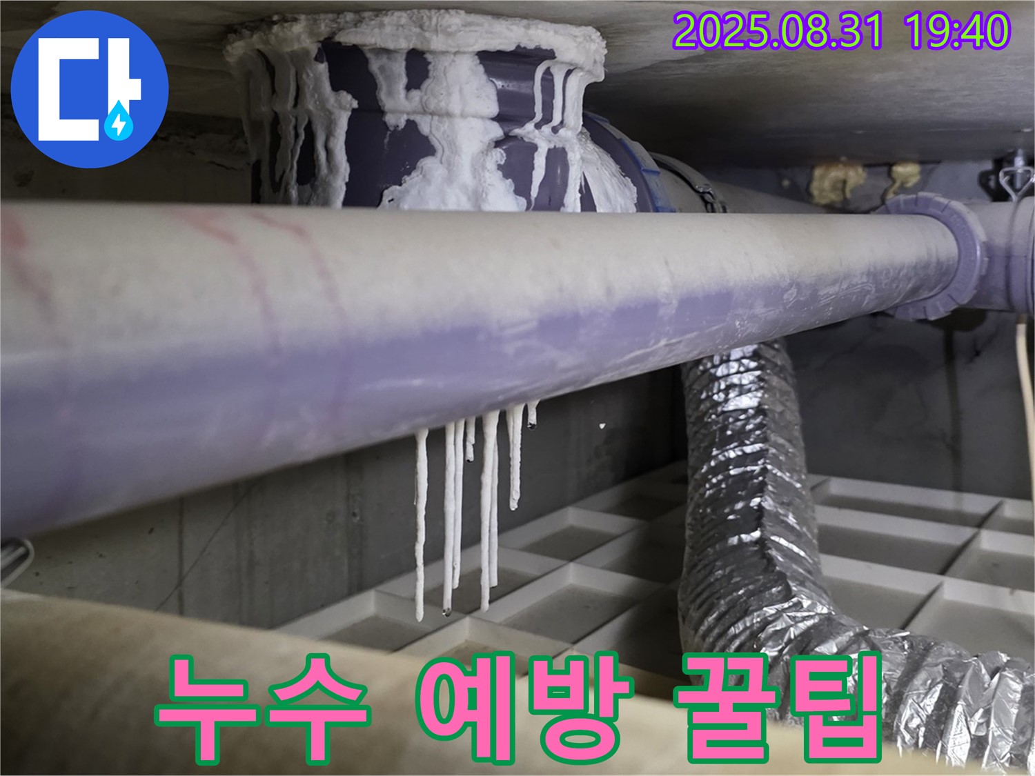 산운로 배관 누수 - 누수 예방 전문가 꿀팁 공개 - 꼼꼼한 관리로 누수 예방