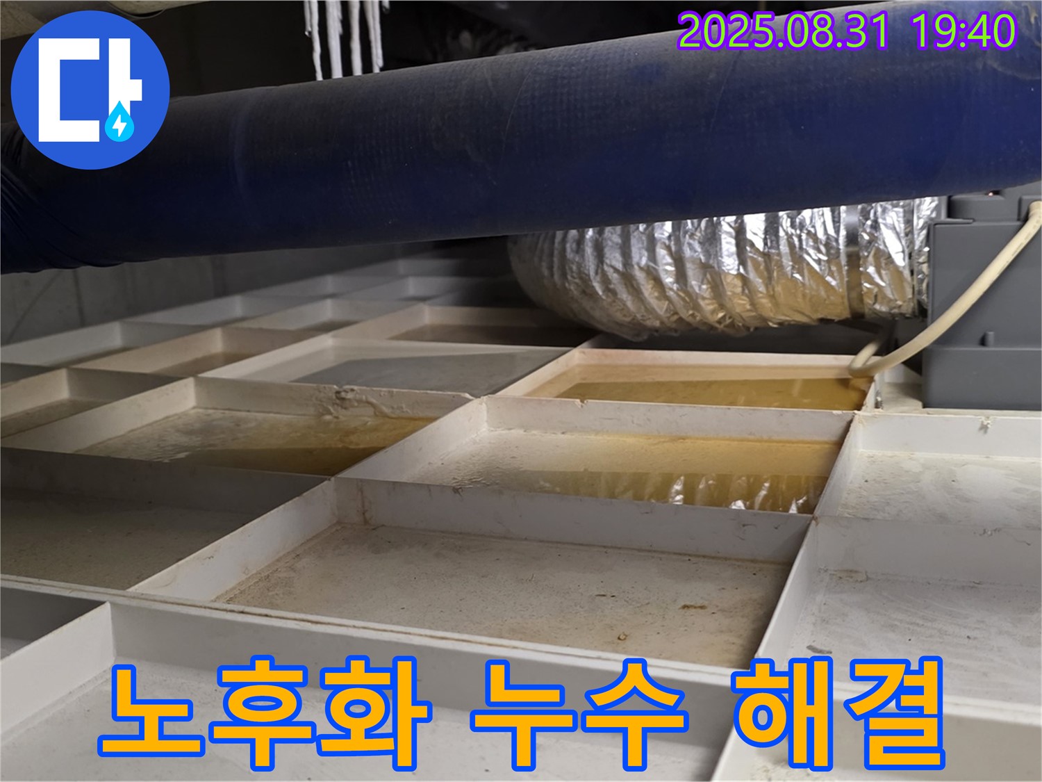 성남 분당 산운로 건물 누수 - 건물 노후화로 인한 누수, 완벽하게 해결!
