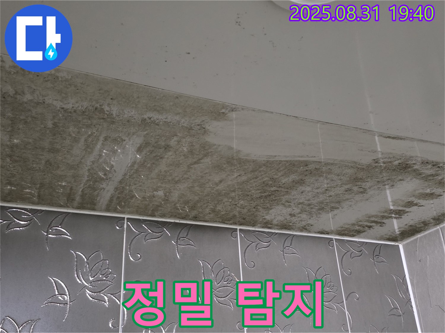 정밀 탐지 장비 - 첨단 장비로 누수 위치 정확히