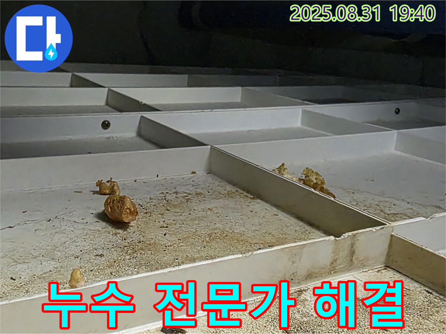 정자마을 누수 - 분당 누수 전문가의 확실한 해결 과정