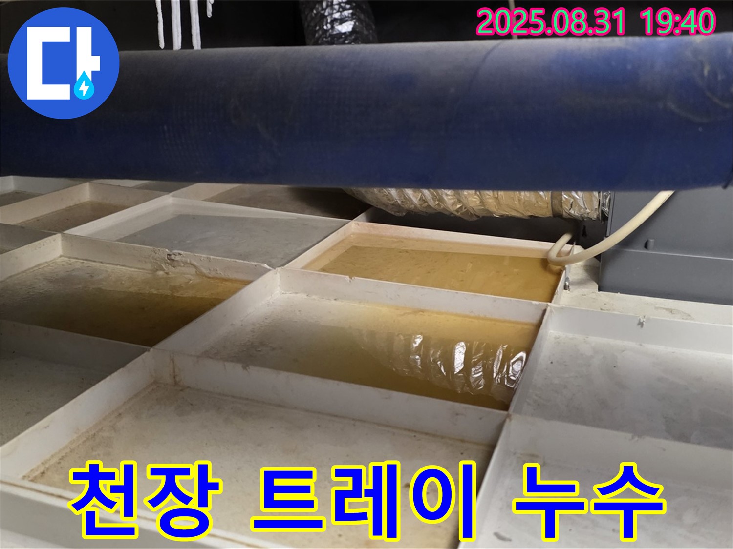 천장 트레이 누수 - 트레이에 고인 물 - 누수 발생 확인